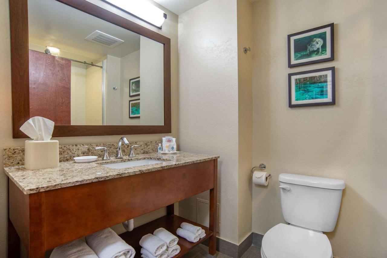 Comfort Suites Tallahassee Capitol - University Area Δωμάτιο φωτογραφία
